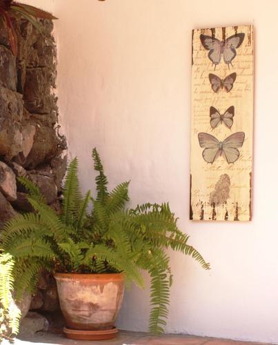 Casa Creativa - image 2