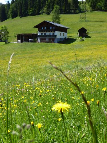 Arlberggut St. Johann i.Po.-Alpendorf