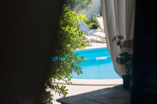 Apartment with private pool and arbor - image 6