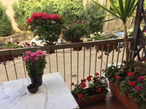 Albergo Cinzia 5