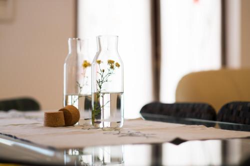 Apartment Katarina in Radići