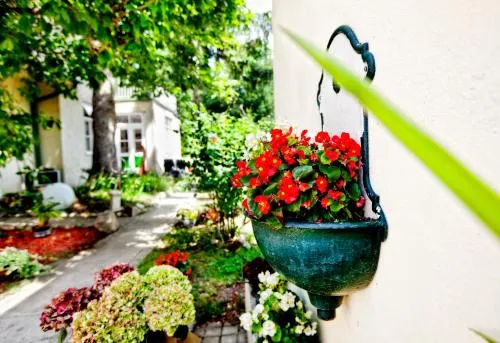 Pension Margit in Baden, Österreich