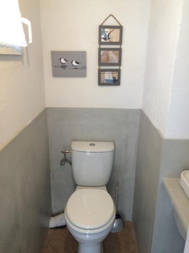 La Petite Maison sur l'Ile de Ré - image 7