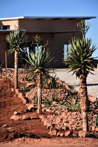 منظر, Cheetah View Lodge in أوتجيوارونجو