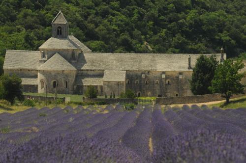 Clos des Lavandes - Luberon