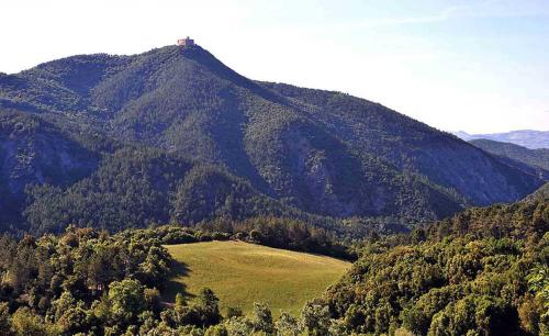 Suite Apartment Castello