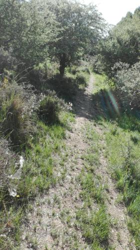 Apkārtne, Casa Rural La Muralla in Rioseco de Soria