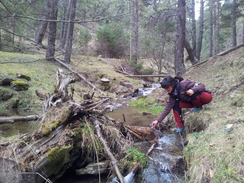 Xalet Refugi Pere Carné