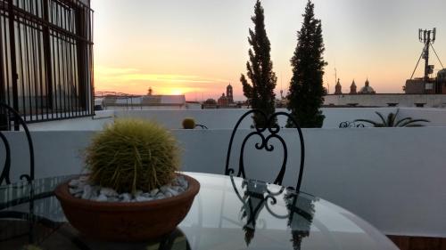 Hotel Suites Sofia, Querétaro