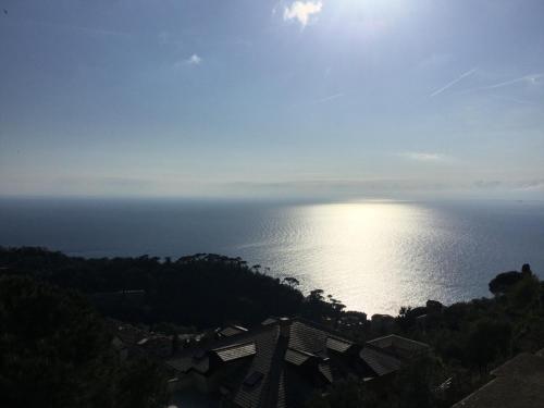 B&B Villa Orchidea 2