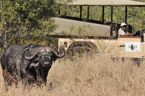 Imbali Safari Lodge