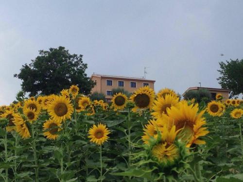 Agriturismo Annarella