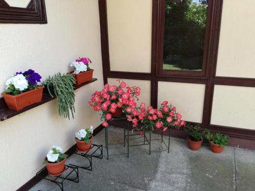 Stara Breza 1 Rooms - image 9
