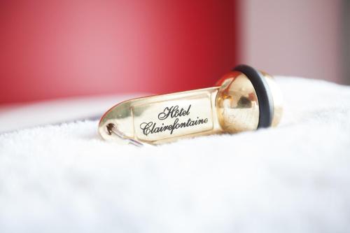 Hôtel Clairefontaine - image 10