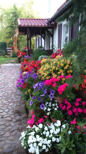 B&B Jędrzychowice - Zajazd Bonanza - Bed and Breakfast Jędrzychowice