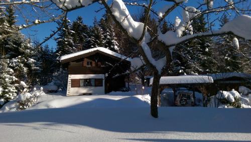 Ferienhaus Sinz in Schwarzenberg