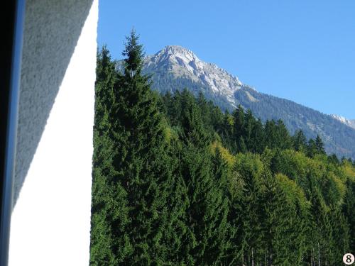 Alpen Appartement, Pension in Hermagor