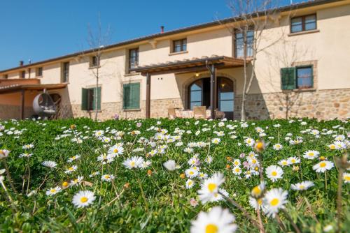  Agriturismo Biologico Diacceroni, Villamagna bei Castelfalfi