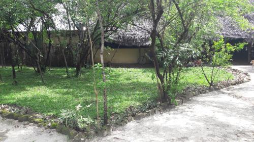 Gecko Nature Lodge Home of Swahili Divers the BEST dive center and Famous Gecko Restaurant