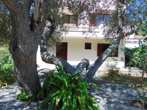  Studio Apartment Petra in Donje Selo na Šolti