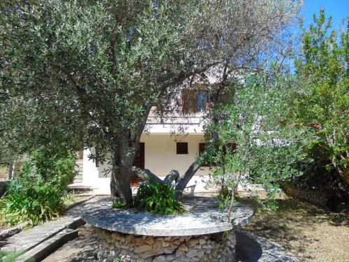  Studio Apartment Petra in Donje Selo na Šolti