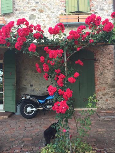 Il Giardino delle Esperidi – Fosdinovo, WI