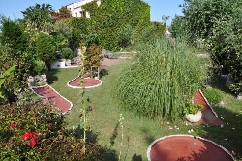 Alizés - image 10