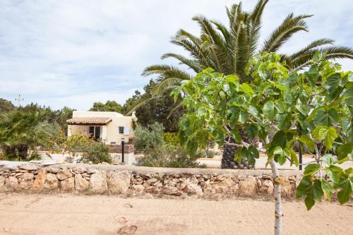 Vivendes Adelina - Escapada Formentera - image 4