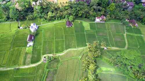 

Sunset House Ubud