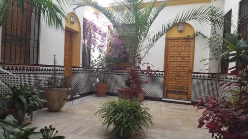 Casa Típica Cordobesa, Córdoba (Foto 3)