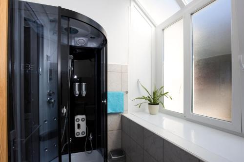 Villa Lole Room Type - Studio Apartment