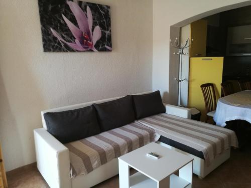 Apartments Ema Vir - main image