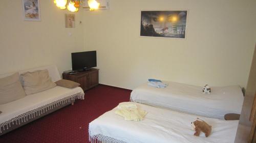 Villa Alexandr - image 12