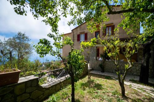 Agriturismo Fattoria Terranova - image 11
