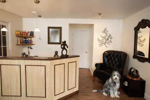 大堂, 布蘭奇德哈博韋拉汽車旅館 (Motel Blanche d'Haberville) in 聖讓波若利