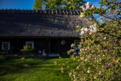 Kuusetuka Tourism Farm