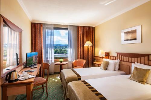 Superior Twin Room with Danube View