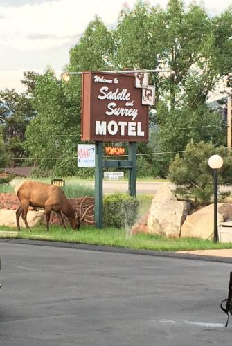 Saddle & Surrey Motel 1