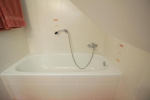 Vannas istaba, Apartmany Svijany in Svijany