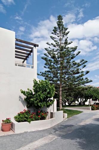 Ourania Apartments - image 7