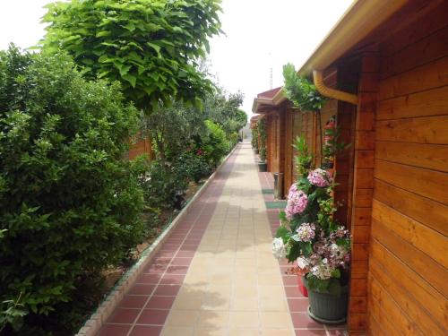 Hostal Gran Avenida - image 2
