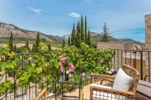 100285403 Finca Son Ametler
