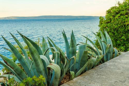 Holiday home Lola, sea on a palm! HEATED POOL