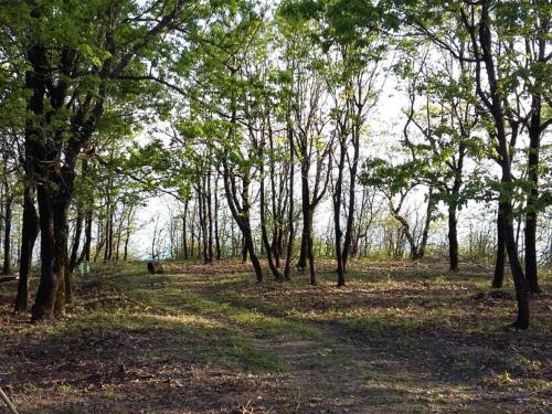 Camping Gorizont