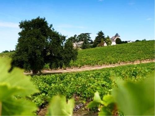 Domaine de la Soucherie - Chambres d'hôtes