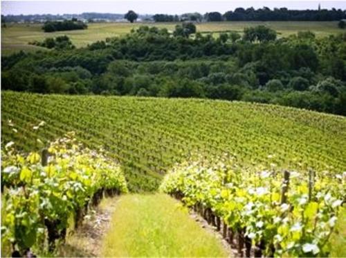 Domaine de la Soucherie - Chambres d'hôtes