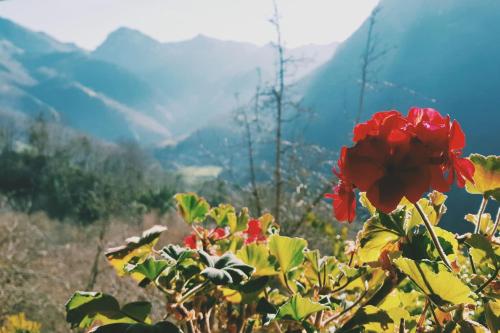 Sol de Asturias - Cazo