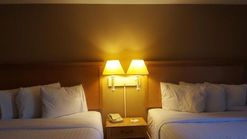 2 queen beds
