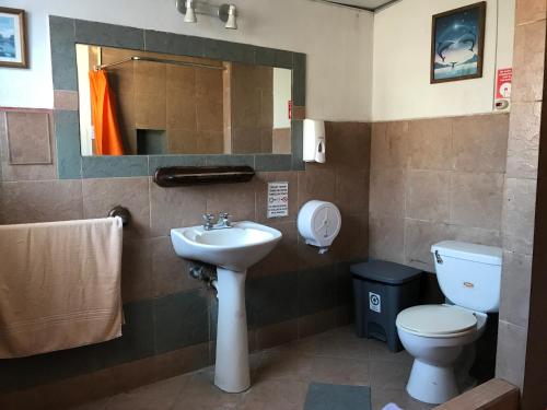 Standard Queen Room image 5