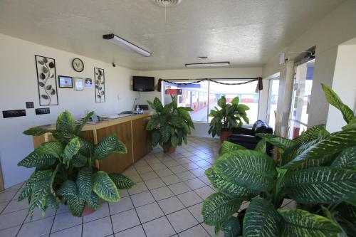 Shamrock Country Inn in Шамрок (Техас)